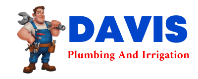 Trusted plumber in LOVEJOY